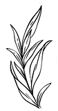 Perlacia Bozcaada